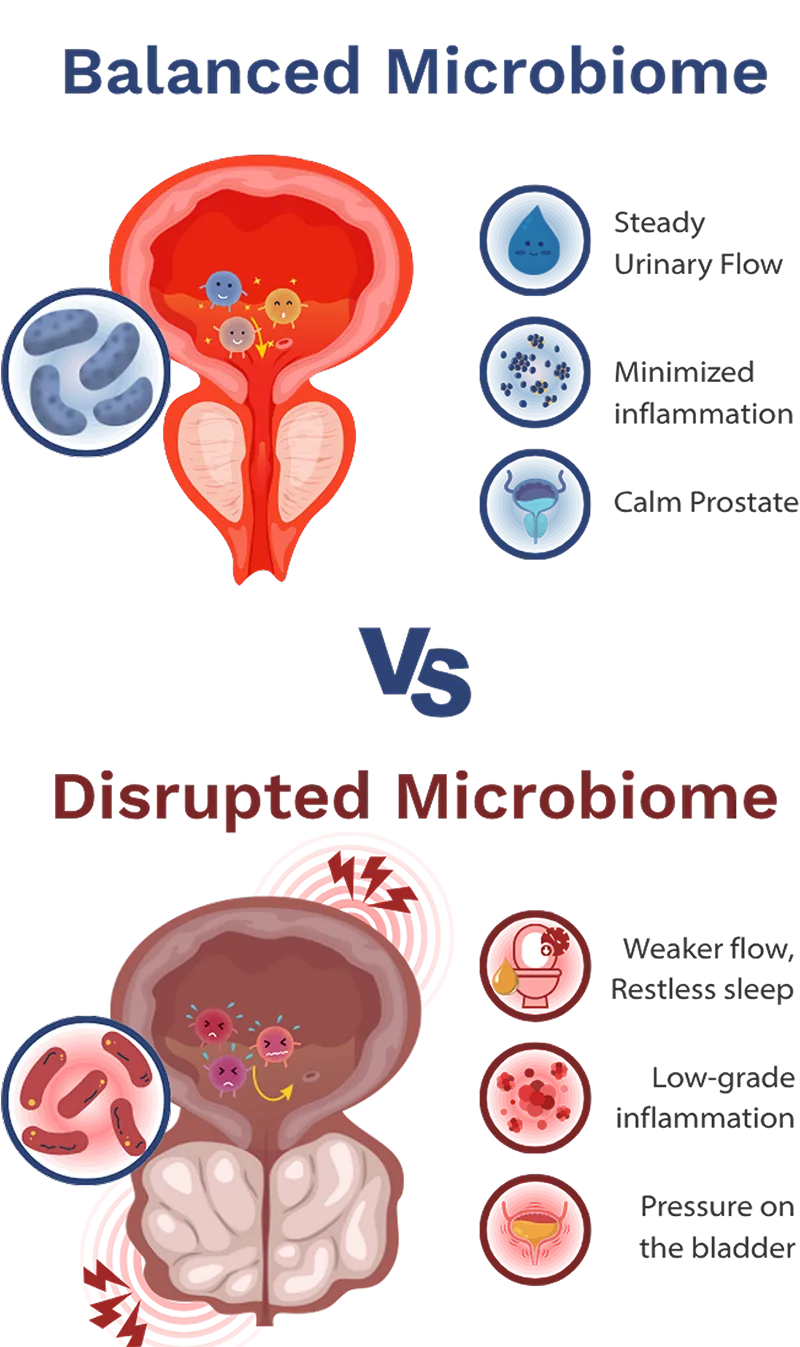microbiome